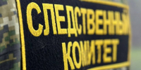 В Смоленске задержан подозреваемый в похищении 9-летней девочки - M24.Ru