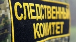 В Смоленске задержан подозреваемый в похищении 9-летней девочки