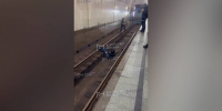 Поезда задерживались на Кольцевой линии метро из-за падения человека - M24.Ru