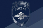 В 2025 году в РФ пресечена деятельность почти 330 этнических преступных группировок – МВД