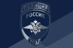 В 2025 году в РФ пресечена деятельность почти 330 этнических преступных группировок – МВД