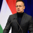 Сийярто заявил о панике в Киеве после задержания украинских инкассаторов - M24.Ru