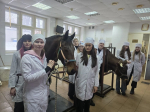 В академии состоялась Олимпиада по внутренним болезням животных