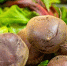 Луковник, кулеш и леваши: на московских ярмарках можно купить продукты для постных блюд - Правительство Москвы