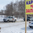Халатность хозяйств привела к вспышке заболеваний скота в Новосибирской области - M24.Ru
