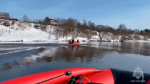 Найдено тело третьего ребенка, пропавшего в Звенигороде