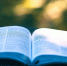 книга чтение книги - Государственная Дума