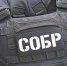 При содействии спецназа Росгвардии в Москве задержаны подозреваемые в мошенничестве (видео) - Росгвардия