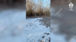 Задержанный по подозрению в убийстве подросток из Петербурга пытался расчленить тело