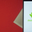 Роскомнадзор заявил об отсутствии решений по ограничению Duolingo - M24.Ru