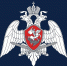 Росгвардия - Государственная Дума