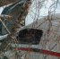 Двое супругов пострадали в Белгородской области из-за детонации дрона - M24.Ru