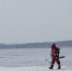 В Забайкалье мальчика унесло на льдине, когда он пытался спасти из воды собаку - ИА Общественная служба новостей
