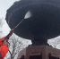 Фонтаны на Пушкинской площади начали промывать после зимы - Вечерняя Москва