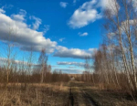 Православные верующие отметят праздник священномученика Василия Анкирского 4 апреля 2026 года