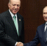 Путин и Эрдоган обсудили негативные последствия конфликта в зоне Персидского залива - M24.Ru