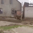 Более 900 домов оказались подтоплены в 6 населенных пунктах Дагестана - M24.Ru