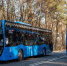 Новые автобусы для пригородных маршрутов прибыли в Москву - M24.Ru