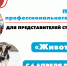 Стартовала программа профессиональной подготовки по профессии «Животновод» 3-го разряда - МГАВМиБ им. К.И. Скрябина