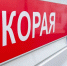 В Запорожской области погиб замглавы округа, спасавший детей из атакованной ВСУ школы - M24.Ru