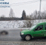 Водитель насмерть сбил лося в Зеленограде - M24.Ru