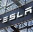 Отец Маска предложил открыть завод Tesla в Нижегородской области - M24.Ru