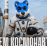 С днем космонавтики! - МХК Динамо