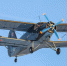 В России предложили восстановить около 700 самолетов Ан-2 - M24.Ru