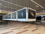 40 тысяч пассажиров посетили выставку астрономических фотографий в терминале Аэроэкспресса в аэропорту Домодедово