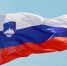 Спикер парламента Словении пообещал провести референдум о выходе страны из НАТО - Вечерняя Москва