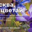 С 15 апреля по 15 мая в столице проходит эколого-просветительский фестиваль «Москва, расцветай!» - Музей Москвы