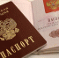В РФ предложили выдавать льготы принятым в гражданство через определенный срок - M24.Ru