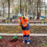 Городские цветники подготовили к весенне-летнему сезону - Правительство Москвы