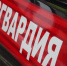 Столичные росгвардейцы задержали курьера, ударившего охранника (видео) - Росгвардия