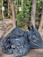 Субботники в Лосином острове: собрано 24 кубометра мусора