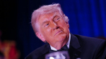 Трамп заявил о желании жить в Букингемском дворце