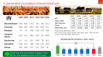 Программа Победы КПРФ — ключ к успеху в выборной кампании 2026 г.