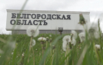 Четверо жителей Белгородской области пострадали из-за дроновой атаки ВСУ