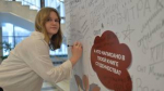 Из чего складывается стоимость обучения в вузах и какие профессии будут престижными