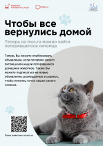 ПОЛЕЗНАЯ ИНФОРМАЦИЯ ДЛЯ ВЛАДЕЛЬЦЕВ ДОМАШНИХ ЖИВОТНЫХ