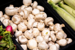 Диетолог Соломатина заявила о рисках покупки продуктов у трассы