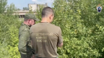 Семья погибшей в красноярском Ачинске девочки не состояла на учете как неблагополучная