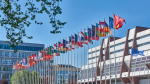 ЕС сохранил зависимость от импорта российской рыбы