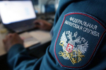 Адвокат Алешкин: Басте грозит уголовное дело из-за налогов