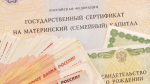 В ОП предложили ввести многодетный маткапитал в размере 1 млн руб