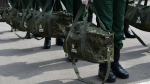 Путин увеличил численность ВС РФ на 25 тысяч военных