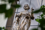 Верховный суд подтвердил запрет на выброс веток в контейнеры для ТКО