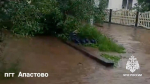 В Татарстане сильный ветер повалил более 20 деревьев и сорвал 3 крыши