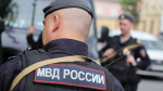 МВД России планирует запустить реестр педофилов и насильников в 2027 году