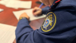 Уголовное дело возбуждено в Ленинградской области после избиения девочки сверстницами